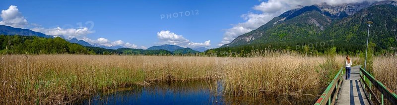 Slow Trail, reeds and springs at Lake Pressegger See, near Hermagor, Gailtal, Carinthia, Austria