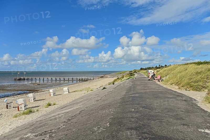 Tar dyke Utersum directly on the Wadden Sea, Föhr, North Frisian Island, North Frisia, Schleswig-Holstein, Germany