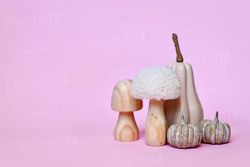 Decorative pumpkin and mushroom ornaments on pink background with copy space