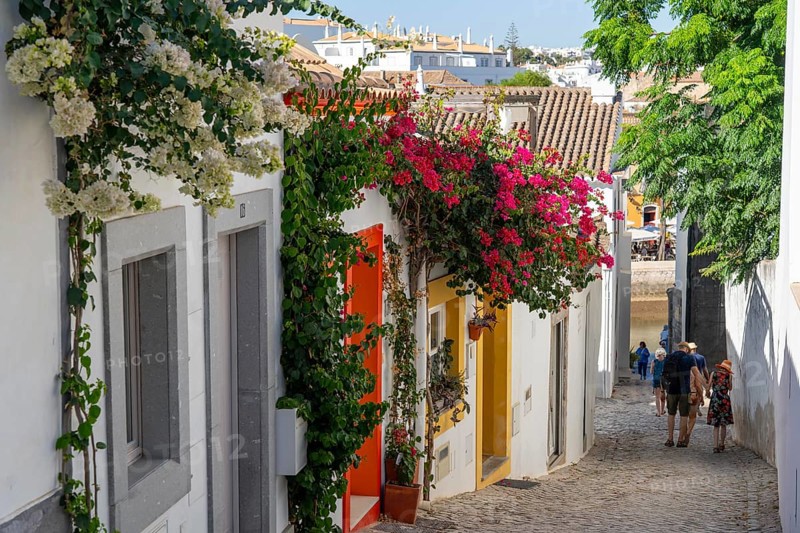 Old town alleys, houses, partly lushly overgrown, Tavira, in the Algarve, Portugal