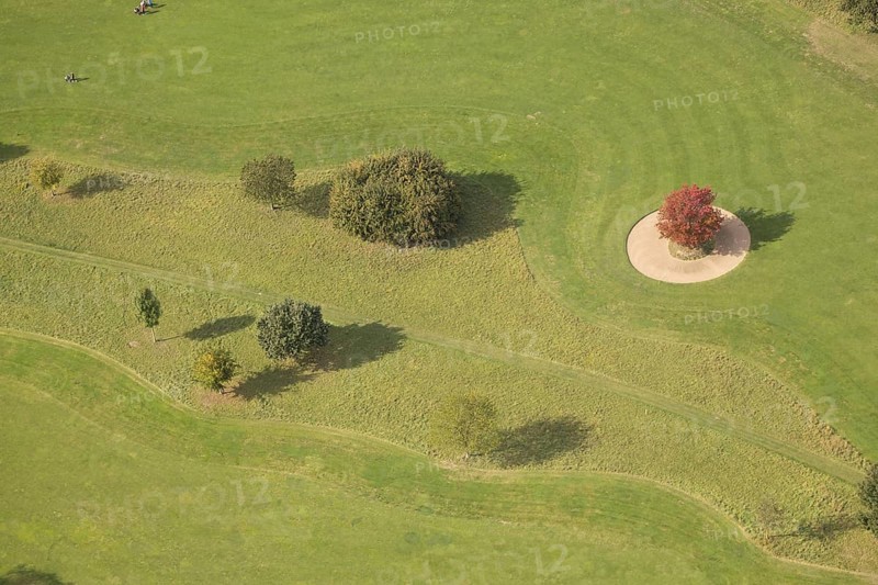 Aerial view, red maple tree on a green meadow, An den Höfen, shapes and colours, Bruckhausen, Hünxe, Ruhr area, North Rhine-Westphalia, Germany, tree, group of trees, DE, Europe, aerial view, aerial photography, aerial photography, Lower Rhine, overview, bird's-eye view, meadow, birds-eyes view, green lung, overview