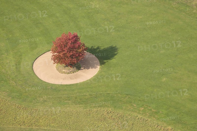 Aerial view, red maple tree on a green meadow, An den Höfen, shapes and colours, Bruckhausen, Hünxe, Ruhr area, North Rhine-Westphalia, Germany, tree, DE, Europe, aerial view, aerial photography, aerial photography, Lower Rhine, overview, bird's eye view, meadow, birds-eyes view, green lung, overview