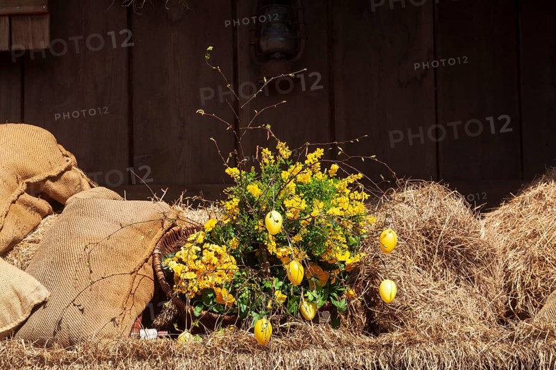 Easter eggs, artificial flowers and flour sacks as decoration at the Bremer Osterwiese folk festival, Bürgerweide, Bremen, Germany