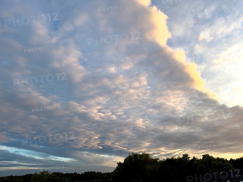 Cloud front with grey stratocumulus below right left and bright altocumulus clouds above Altocumulus clouds Cluster layer clouds under blue sky Evening sky shortly in front of dusk over treetops of forest edge of mixed forest, international