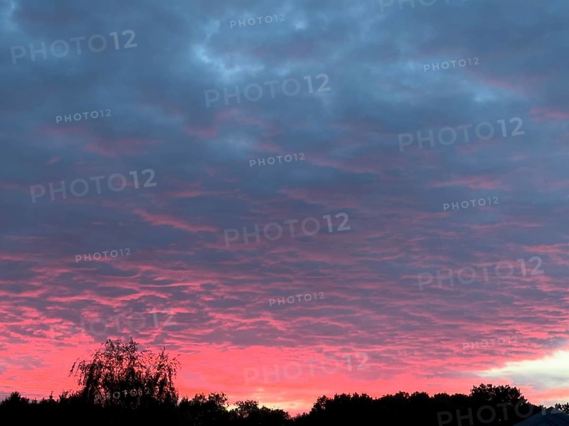 Above grey stratocumulus clouds Stratocumulus clouds Cluster layer clouds, below sunset over treetops of forest edge of mixed forest, international