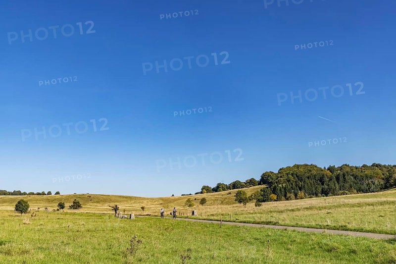 Pristine landscape in the Swabian Alb biosphere reserve with blue skies and small clouds. The former Münsingen military training area is an important part of the 85, 270-hectare nature reserve. It was established by the state of Baden-Württemberg in 2008. It has been a UNESCO biosphere reserve since 2009. Münsingen, Baden-Württemberg, Germany
