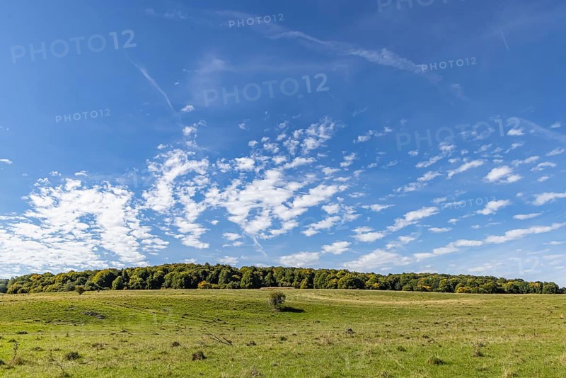 Pristine landscape in the Swabian Alb biosphere reserve with blue skies and small clouds. The former Münsingen military training area is an important part of the 85, 270-hectare nature reserve. It was established by the state of Baden-Württemberg in 2008. It has been a UNESCO biosphere reserve since 2009. Münsingen, Baden-Württemberg, Germany