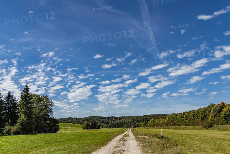 Pristine landscape in the Swabian Alb biosphere reserve with blue skies and small clouds. The former Münsingen military training area is an important part of the 85, 270-hectare nature reserve. It was established by the state of Baden-Württemberg in 2008. It has been a UNESCO biosphere reserve since 2009. Münsingen, Baden-Württemberg, Germany