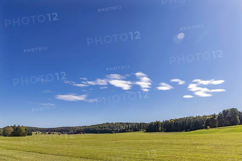 Pristine landscape in the Swabian Alb biosphere reserve with blue skies and small clouds. The former Münsingen military training area is an important part of the 85, 270-hectare nature reserve. It was established by the state of Baden-Württemberg in 2008. It has been a UNESCO biosphere reserve since 2009. Münsingen, Baden-Württemberg, Germany