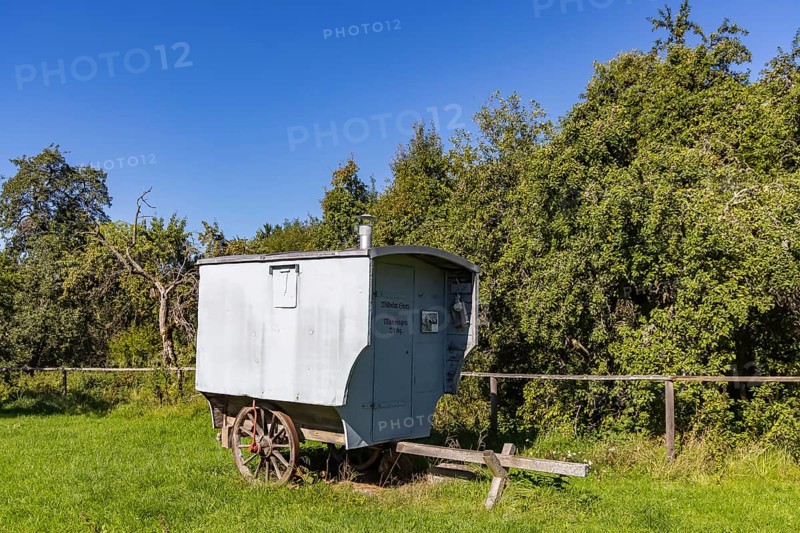 Historic shepherd's cart of the travelling shepherds on the Swabian Alb in Gruorn. Gruorn is a deserted village near Münsingen in the Swabian Alb. The former village has been part of the newly established Swabian Alb biosphere reserve since 2008. Münsingen, Baden-Württemberg, Germany