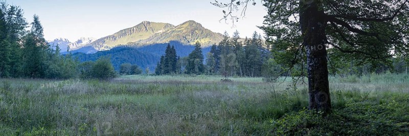Moor at sunrise in spring, moor pond near Oberstdorf, behind it the Fellhorn, 2037m, Oberallgäu, Allgäu, Bavaria, Germany