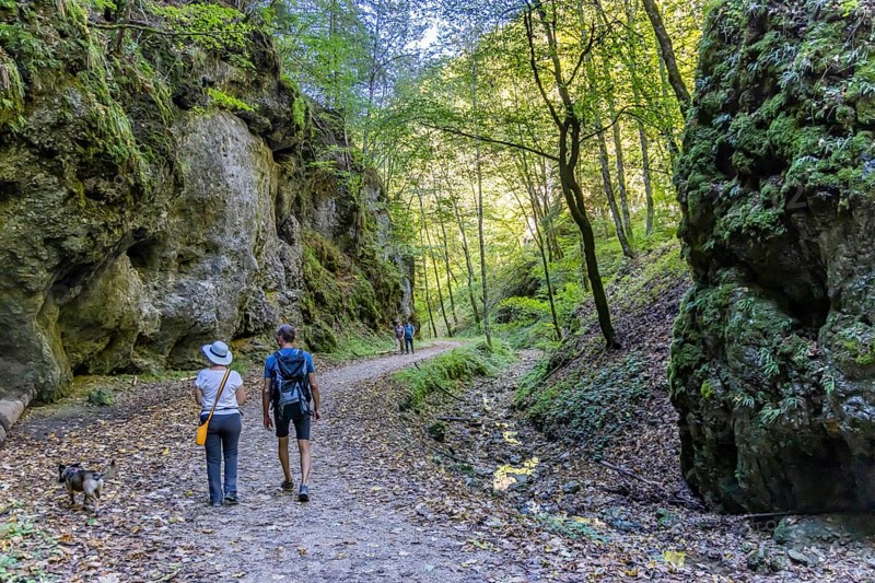 Trailfinger Gorge near Seeburg in the Swabian Alb. Man and woman with dog on a hike through the romantic forest. Bad Urach, Baden-Württemberg, Germany