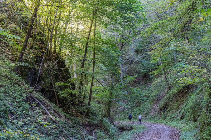 Trailfinger Gorge near Seeburg in the Swabian Alb. Man and woman with dog on a hike through the romantic forest. Bad Urach, Baden-Württemberg, Germany