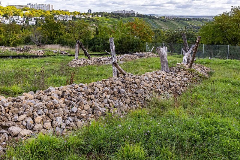 Areas with artificial stone piles for lizards. The city of Stuttgart has cleared allotments in the Oberer Freienstein area to reintroduce lizards that had been driven away from construction sites in the city. Stuttgart, Baden-Württemberg, Germany