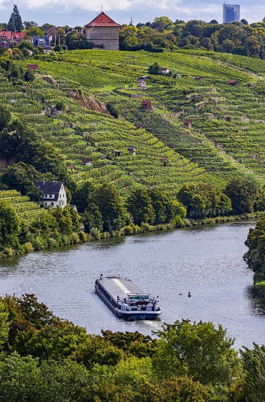 Terraced vineyards of the Zuckerberg vineyard. This is where the Cannstatter Zuckerle matures. Vineyard cottages on the steep slopes of the Neckar vineyards. The 105 metre long cargo ship ANNABELL on its way to the port of Stuttgart, Baden-Württemberg, Germany