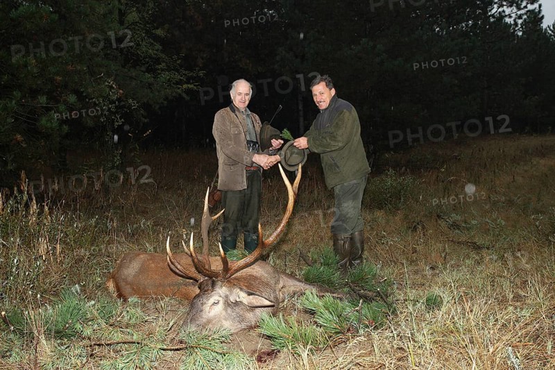 Red deer (Cervus elaphus) shot in the rain during the rut, hunter on the left, receiving the kill from the hunting guide, tradition, western Hungary, Hungary, Allgäu, Bavaria, Germany