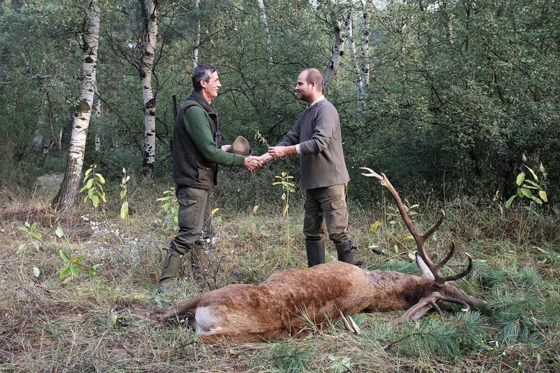 Red deer (Cervus elaphus) killed during the rut, 12 years old, hunter on the left, receives the kill from the hunting guide, tradition, Western Hungary, Hungary, Allgäu, Bavaria, Germany