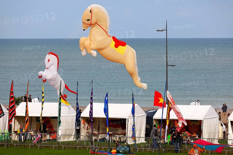 Kite Festival, International Kite Festival, Dieppe, Normandy, France
