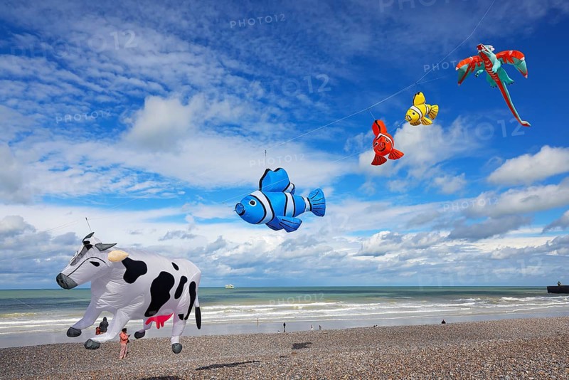 Kite festival on the beach, International Kite Festival, Dieppe, Normandy, France