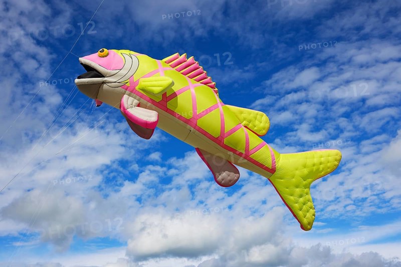 Kite festival, international kite festival, kite in the shape of a fish, Dieppe, Normandy, France