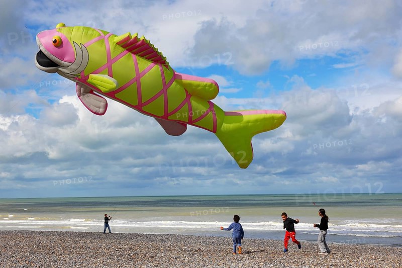Kite festival on the beach, international kite festival, kite in the shape of a fish, Dieppe, Normandy, France
