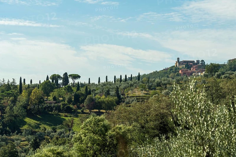 Italy, Tuscany, pines, Castello, castle, mountain, landscape, hill, green