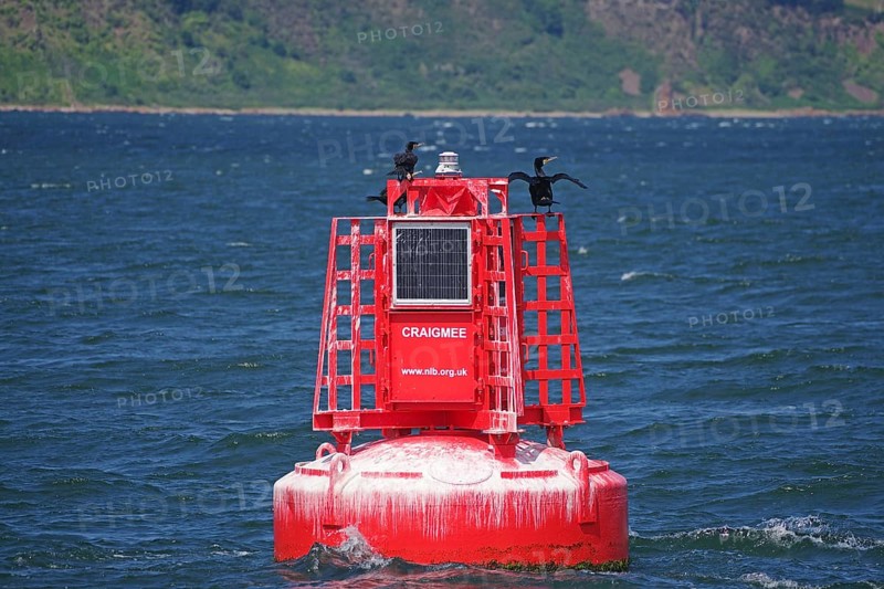 A red buoy with a cormorant rests on the sea, a silent hint in the vast waterscape, Moray Firth, Inverness, Scotland, Great Britain