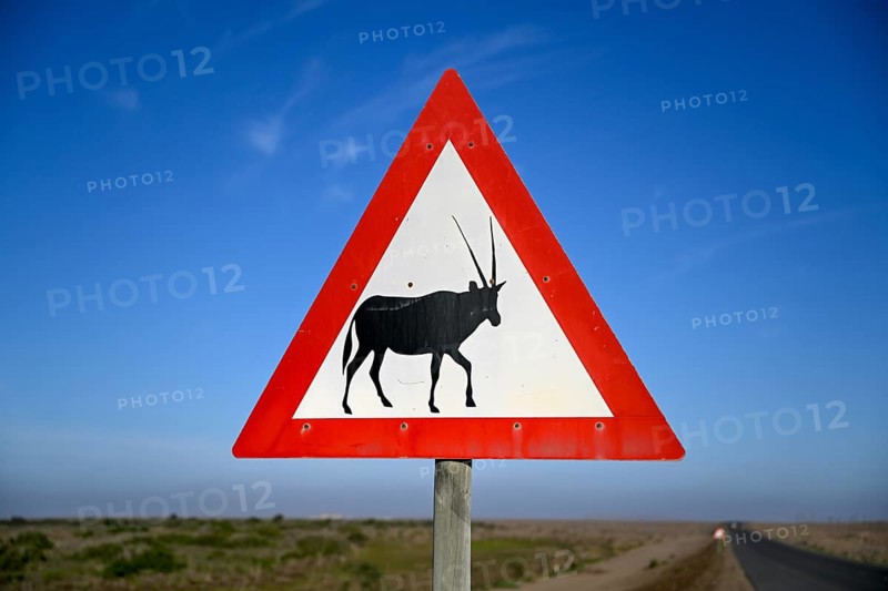 Beware of oryx antelopes (Oryx gazella) sign on a road near Oranjemund, Diamond Sperrgebiet, Karas Region, Namibia