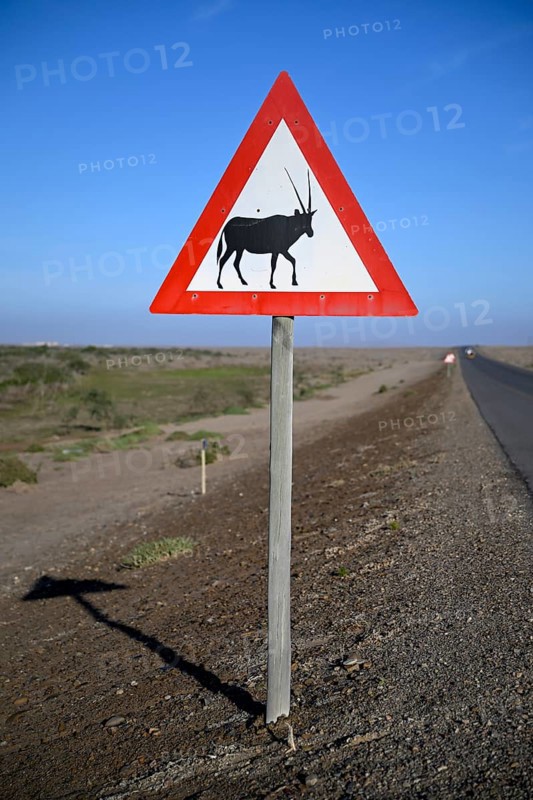 Beware of oryx antelopes (Oryx gazella) sign on a road near Oranjemund, Diamond Sperrgebiet, Karas Region, Namibia