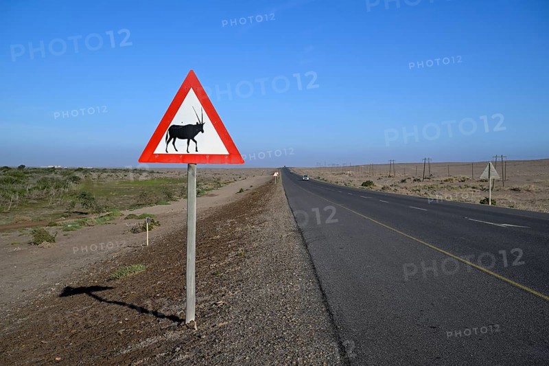 Beware of oryx antelopes (Oryx gazella) sign on a road near Oranjemund, Diamond Sperrgebiet, Karas Region, Namibia