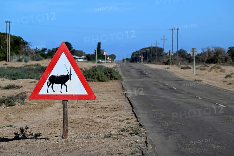 Beware of oryx antelopes (Oryx gazella) sign on a road near Oranjemund, Diamond Sperrgebiet, Karas Region, Namibia