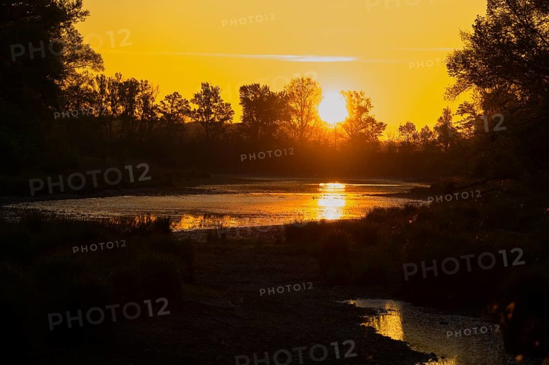 Morning atmosphere, riparian forest, sunrise, Lower Austria