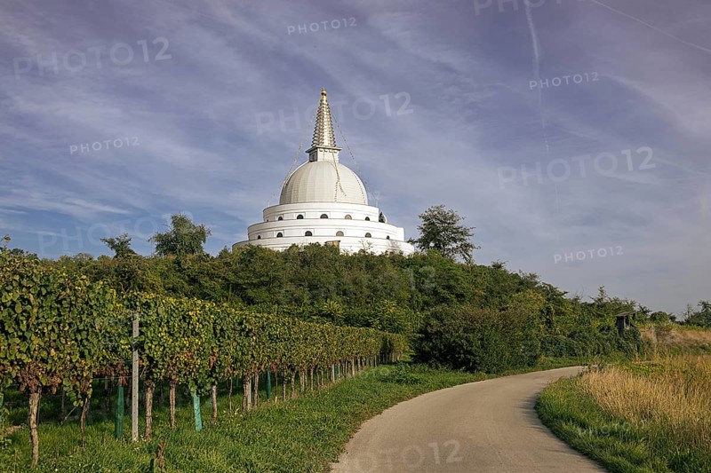 White pagoda at the end of a cobbled path between vines under a cloudy sky, Stupa am Wagram Grafenwörth Weinviertel Lower Austria Austria