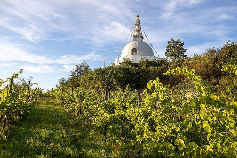 White stupa in the middle of vineyards, under a wide blue sky, peaceful atmosphere, Stupa am Wagram Grafenwörth Weinviertel Lower Austria Austria
