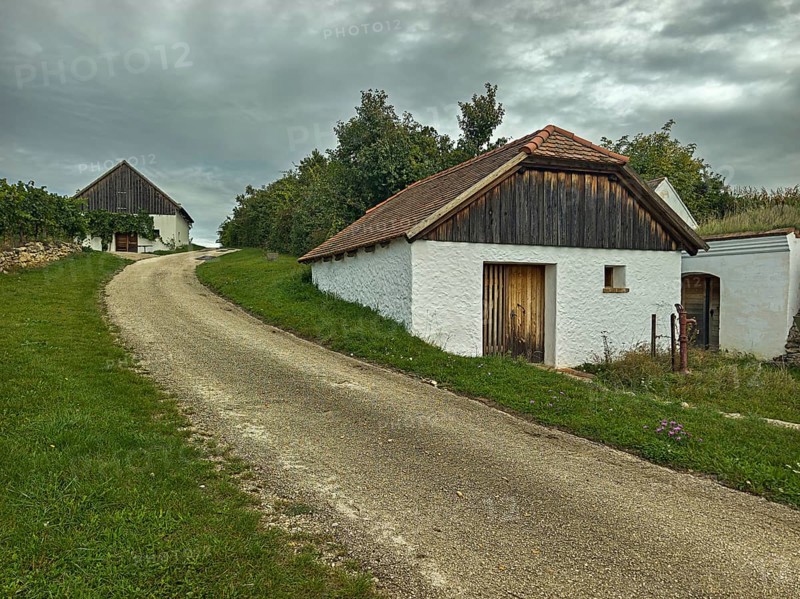 Two old houses in rural style on a curved path under a cloudy sky in green surroundings, Kellergasse Hart -Aschenbach Hollabrunn Weinviertel Lower Austria Austria