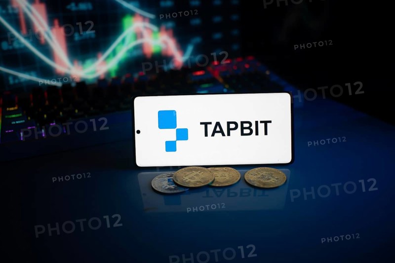 TAPBIT app on phone with coins and market chart in the background