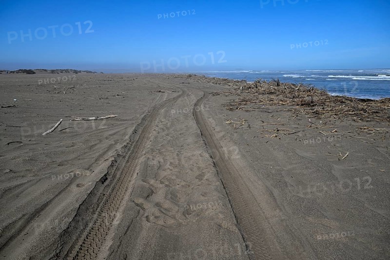 Beach on the Atlantic Ocean near Oranjemund, diamond restricted area, Karas region, Namibia