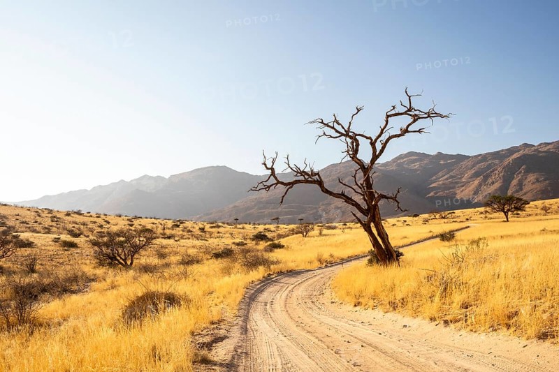 Solitaire is a remote settlement in Namibia, located on the edge of the Namib Desert, surrounded by dunes and mountain ranges