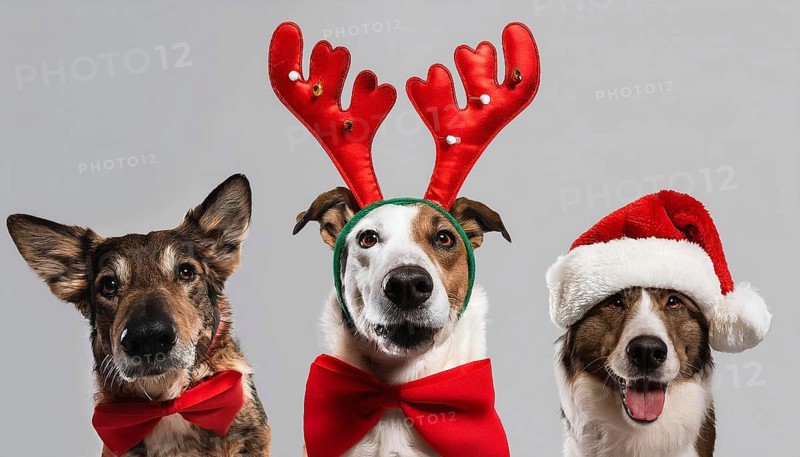 Three adorable dogs wearing festive christmas costumes, bringing holiday cheer, AI generated