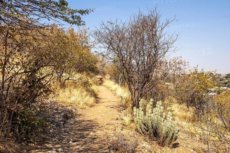 A stone pathway winds through dry woodland and bush at the National Botanic Garden, Windhoek, Namibia, with interpretive signs along the trail and distant views of the city beyond the trees