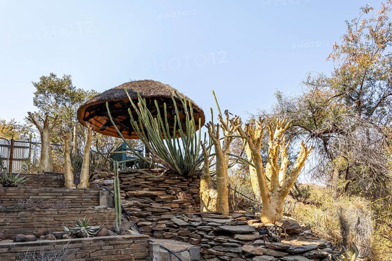 A stone pathway winds through dry woodland and bush at the National Botanic Garden, Windhoek, Namibia, with interpretive signs along the trail and distant views of the city beyond the trees