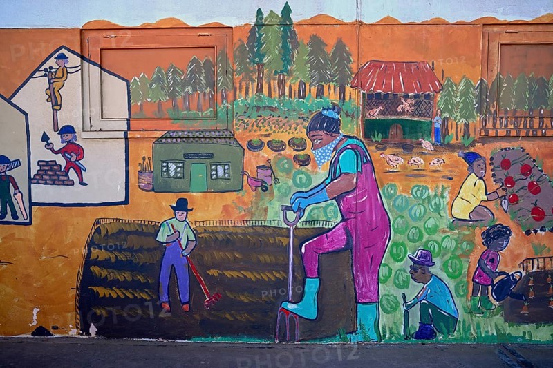 Mural painting of a vegetable garden at a school, Oranjemund, diamond restricted area, Karas region, Namibia