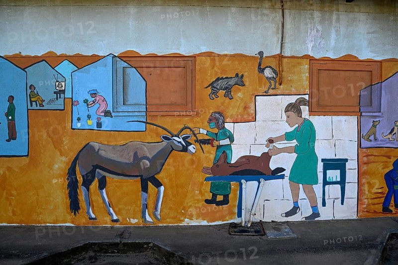 Wall painting of an oryx antelope (Oryx gazella) at a school, Oranjemund, Diamond Sperrgebiet, Karas Region, Namibia