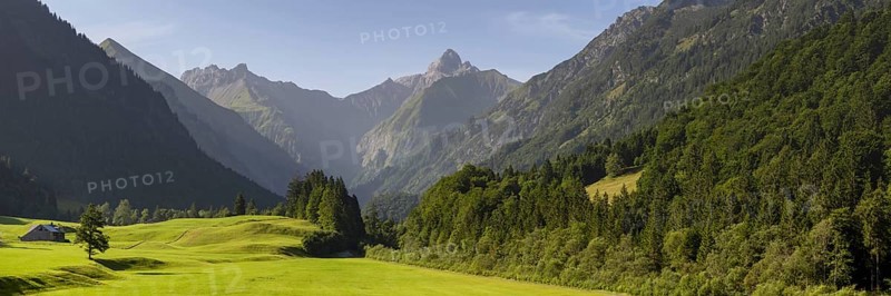 Cleared summer meadow in the Trettachtal, near Oberstdorf, behind it the Kratzer, 2428m and the Trettachspitze, 2595m, Allgäu Alps, Allgäu, Bavaria, Germany