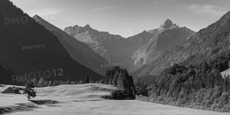 Cleared summer meadow in the Trettachtal, near Oberstdorf, behind it the Kratzer, 2428m and the Trettachspitze, 2595m, Allgäu Alps, Allgäu, Bavaria, Germany