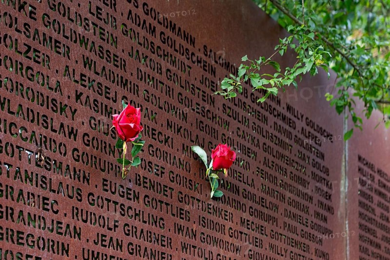 Pinned roses, name wall made of steel plates with a total of 2908 laser-engraved names of former concentration camp prisoners and forced labourers, station on the Path of Remembrance, Leonberg Concentration Camp Memorial, Leonberg, Baden-Württemberg