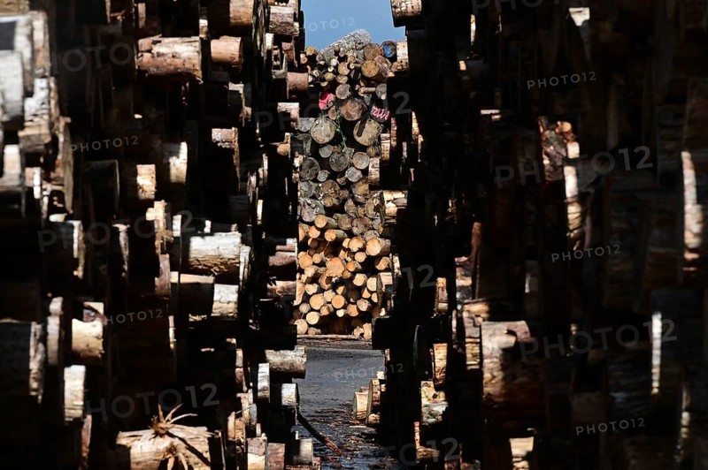 Enegie-Mann timber store in the Westerwald. The wood is processed into wood pellets, some of it into construction timber in the sawmill