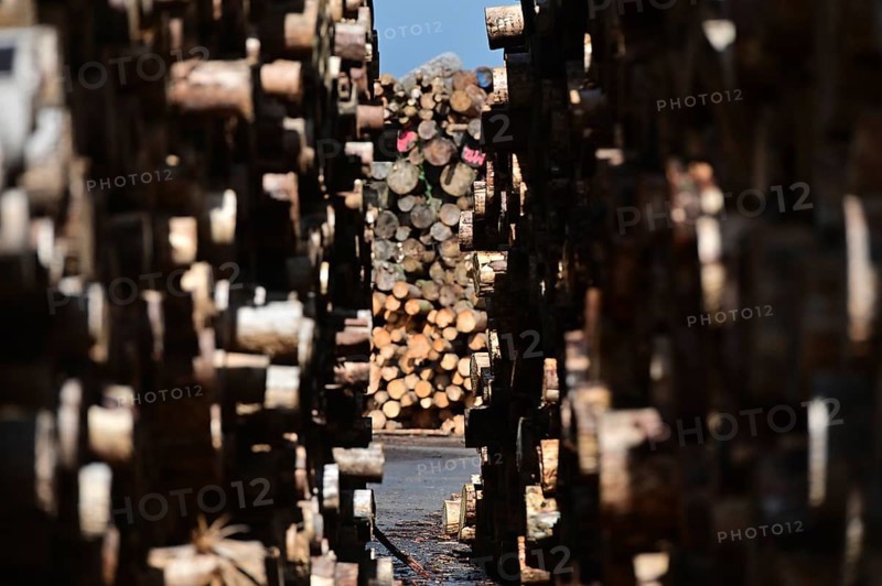 Enegie-Mann timber store in the Westerwald. The wood is processed into wood pellets, some of it into construction timber in the sawmill