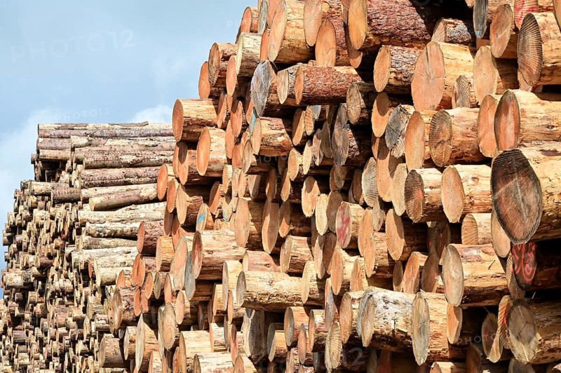 Enegie-Mann timber store in the Westerwald. The wood is processed into wood pellets, some of it into construction timber in the sawmill