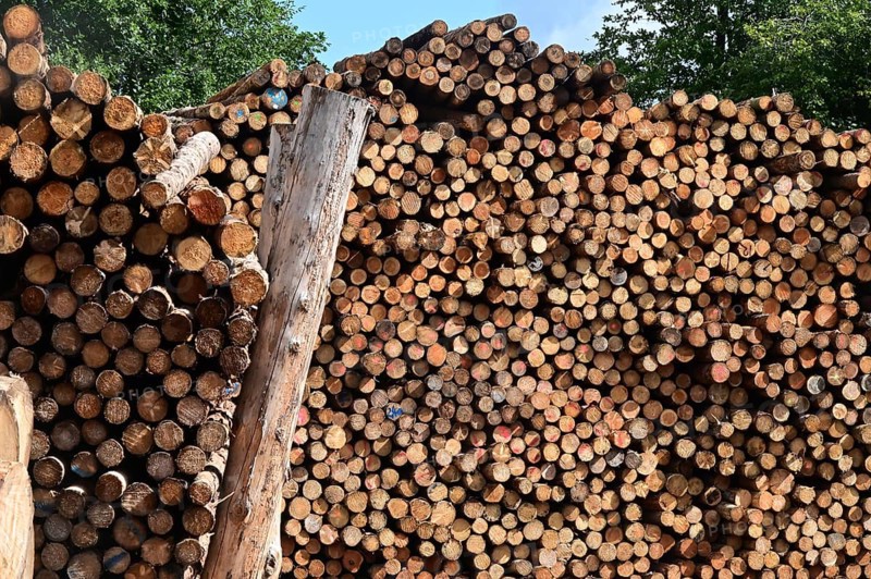 Enegie-Mann timber store in the Westerwald. The wood is processed into wood pellets, some of it into construction timber in the sawmill